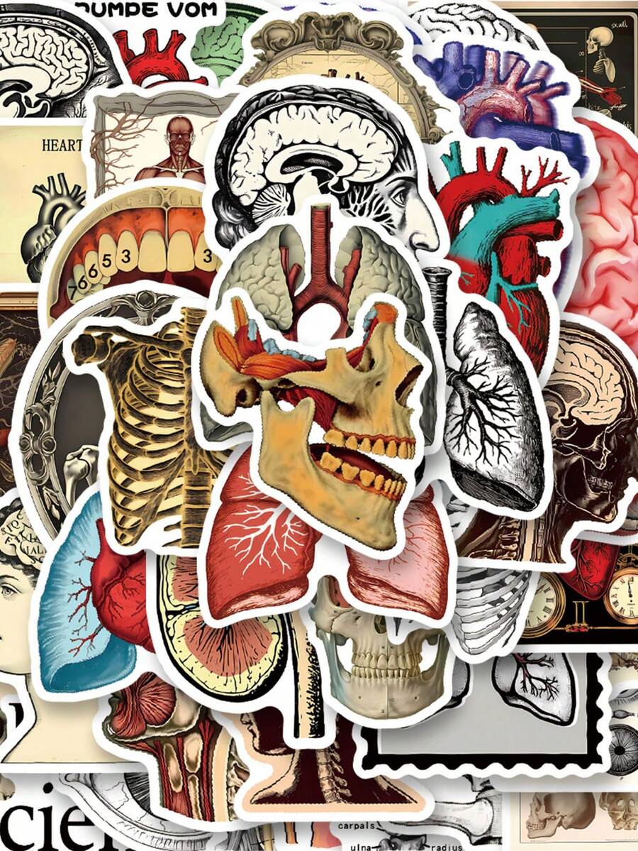50张人体解剖贴纸,解剖贴纸,医生贴纸,解剖装饰涂鸦贴纸,防水乙烯基贴纸,适用于水瓶、笔记本电脑、手机、滑板、剪贴簿、笔记本、礼品、剪贴簿用品、文具 - B - 查看 1