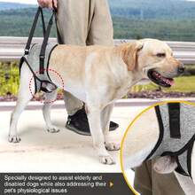 Arnés de Elevación Ajustable para Perro, Arnés de Soporte para Perros, Soporte para Patas Traseras, para Perros Mayores O Discapacitados, Facilita Caminar y Subir Bajar Escaleras (XL),37283254 - Rojo violeta - Ver 5