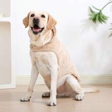 HOLAPET 一件双面大狗衣服，秋冬季保暖套装，带牵引绳孔，柔软舒适的抓绒面料，适合拉布拉多、金毛寻回犬等宠物穿着。 - 彩色 - 查看 10