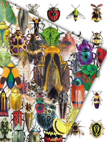 50pcs Realistic Insect & Cartoon Animal Transparent Stickers, Turtle, Beetle, Cicada Decor For Bookshelf, Glass