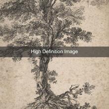 1幅带框/不带框复古树木素描乡村风帆布海报，古董风景复古墙面艺术印刷品，农舍田园风装饰画，适用于公寓、客厅、卧室、现代家居装饰 - 彩色 - 查看 6