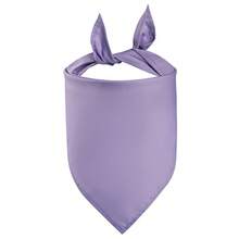 Blank Solid Color Dog Scarf, DIY Scarf, Durable Triangle Heat Transfer Washable Bib Handkerchief, Suitable For Puppies And Pets, Personalized Birthday/Party Fun Gift - Multicolor - View 12