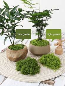 Realistic Artificial Moss, Suitable For DIY Crafts And Home Decor - Lifelike Green Plant Grass, Realistic Fake Grass, Fade-Resistant Artificial Moss Decor, Suitable For Indoor Potted Plants, Artificial Moss For Crafts Making, Artificial Moss For DIY Decoration, Perfect For Miniature Landscape And Wedding Decoration - Multicolor - View 7