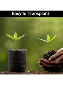 50pcs Thickened Non-Woven Fabric Seedling Bags, Seed Germination Growth Bags, Suitable For Indoor And Outdoor Planting Of Seedlings, Vegetables, Flowers, And Fruits, Convenient For Transplanting, Garden Planting Pots, Lightweight Floor-Standing