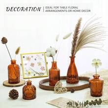 12Pcs Glass Bud Vase Set, Small Dark Brown Flower Vase For Centerpieces, Bud Vases In Bulk, Mini Vintage Vase For Rustic Wedding Decorations(Amber),12Pcs,Amber - Hổ phách - Xem 5