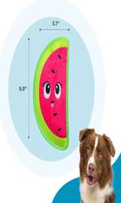 Outward Hound Tough Skinz Durable Squeaky Dog Toy With Two Tough Layers, Strawberry, Red, Medium - ColorH - 查看 5