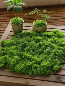 Realistic Artificial Moss, Suitable For DIY Crafts And Home Decor - Lifelike Green Plant Grass, Realistic Fake Grass, Fade-Resistant Artificial Moss Decor, Suitable For Indoor Potted Plants, Artificial Moss For Crafts Making, Artificial Moss For DIY Decoration, Perfect For Miniature Landscape And Wedding Decoration - Multicolor - View 8