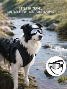 Adjustable Soft Dog Sunglasses, Ski Goggles, Waterproof Safety Glasses, Multi-Functional Pet Eyewear, Cool Dog Sunglasses, UV Protection Pet Goggles, Double-Strap Anti-Slip Anti-Wind Dog Glasses, Photography Props, Suitable For Outdoor Activities, Travel, Picnic And Adventure, Available At Pet Home - Multicolor - View 3
