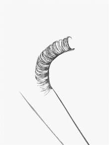 10对交叉式假睫毛，适合日常妆容，可作为礼物送给女朋友 - 黑色 - 查看 5