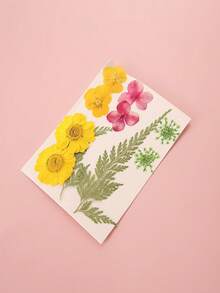 10pcs Dried Flower Bookmarks, Creative Handmade Pressed Flower DIY Face Stickers, Pressed Flower Material Kit, Small Gifts, Homemade Plant Specimens, Suitable For Christmas, Valentine's Day, Weddings - Multicolor - View 5
