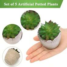 1 set (5 pots, 3 pots ou 2 pots) de plantes succulentes artificielles, comprenant de petites plantes et pots factices, convenant à la décoration intérieure de la maison, du bureau, de la salle de bain et de la chambre, avec de l'eucalyptus en plastique et de l'herbe de blé miniature, idéal pour la décoration de plantes artificielles de bureau - Vert - Voir 6