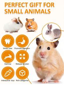 100g Natural Apple Wood Chew Sticks, Handwoven Natural Ball, Apple Wood Cage Hanging Chew Toys Set For Hamsters, Rabbits, Guinea Pigs And Other Pets - Multicolor - View 7