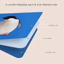 高对比度黑白红婴儿闪卡,蒙特梭利玩具,适合0-3个月、3-6个月、6-12个月的新生儿和婴儿,视觉刺激闪卡,感官学习卡,俯卧抬举游戏,促进大脑发育,新生儿必备,婴儿玩具,儿童闪卡,蒙特梭利玩具,幼儿玩具 - 彩色 - 查看 8