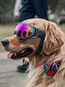 Adjustable Soft Dog Sunglasses, Ski Goggles, Waterproof Safety Glasses, Multi-Functional Pet Eyewear, Cool Dog Sunglasses, UV Protection Pet Goggles, Double-Strap Anti-Slip Anti-Wind Dog Glasses, Photography Props, Suitable For Outdoor Activities, Travel, Picnic And Adventure, Available At Pet Home - Multicolor - View 6