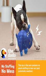 The Dodo Sloth Puzzle Pocket Toy For Dogs, Roll Up For More Difficulty Or Unroll For A Larger Toy; Treat Hide Enrichment Treat Dispenser - MàuD - Xem 3