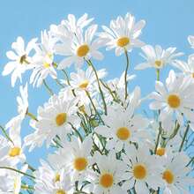 1 قطعة/3 قطع زهرة جربيرا اصطناعية بطول 17 بوصة - باقة زهور البوهيمي، مناسبة لديكور المنزل طوال العام، حفلات الزفاف الصيفية وطاولات الخريفية، زهور مزيفة مقاومة للبهتان للطاولة الطعام/التصوير الفوتوغرافي، ديكور الربيع/الصيف، باقة العروس - متعدد الألوان - مشاهدة 7