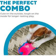 Outward Hound Durablez Minis Dog Toy, Stuffing-Free Plush, Jumbo Squeaker, Tuff Guard, Chew-Resistant, No Mess, Small Dog/Puppy Toy | Teething Relief, Indoor Playtime, Cute Animal, Soft Texture, Happy, Engaged, Puppy Owner, Small Dog Parent, Dog Toy, Pet Supplies - Pet Toys, Cat Toys, Interactive Pet Toys, Chew Toys For Dogs, Fun For Pets, Keeps Pets Busy, Durable Pet Toys, Puppy Toys, Kitten Toys - 彩色 - 查看 2