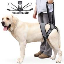 可调节犬用提拉背带 - 为中大型犬提供支撑设计，舒适的加厚腿带，适合老年犬、受伤犬、关节炎犬、残疾犬。 - 彩色 - 查看 15