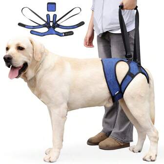 Arnés de elevación ajustable para perros - Diseño de soporte para perros medianos a grandes, correas acolchadas cómodas para las patas, adecuado para perros ancianos, lesionados, artríticos y discapacitados