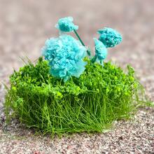 6件随机簇状人造花草，植绒花簇，适用于沙盘模型、建筑场景布置、微景观DIY - As photos - 查看 10