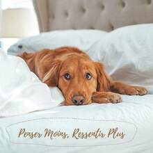 Juegos de Edredones - Verde agua - Ver 10