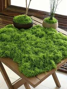 Realistic Artificial Moss, Suitable For DIY Crafts And Home Decor - Lifelike Green Plant Grass, Realistic Fake Grass, Fade-Resistant Artificial Moss Decor, Suitable For Indoor Potted Plants, Artificial Moss For Crafts Making, Artificial Moss For DIY Decoration, Perfect For Miniature Landscape And Wedding Decoration - Multicolor - View 1