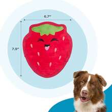 Outward Hound Tough Skinz Durable Squeaky Dog Toy With Two Tough Layers, Donut, Multicolor, Small - MàuF - Xem 5