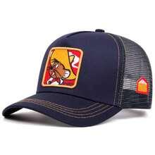 1 件华纳兄弟卡通刺绣棒球帽，户外运动活动网眼棒球帽，街头服饰