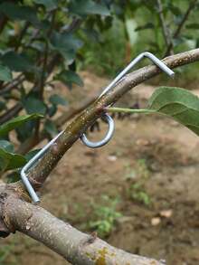 M-Shaped Fruit Tree Branch Bender, Fruit Tree Branch Straightener, Curved Branch Pruner - Multicolor - View 10