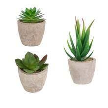 1 set (5 pots, 3 pots ou 2 pots) de plantes succulentes artificielles, comprenant de petites plantes et pots factices, convenant à la décoration intérieure de la maison, du bureau, de la salle de bain et de la chambre, avec de l'eucalyptus en plastique et de l'herbe de blé miniature, idéal pour la décoration de plantes artificielles de bureau - Vert - Voir 9
