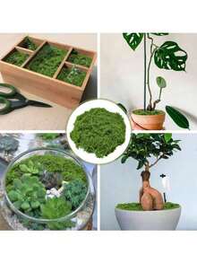 Realistic Artificial Moss, Suitable For DIY Crafts And Home Decor - Lifelike Green Plant Grass, Realistic Fake Grass, Fade-Resistant Artificial Moss Decor, Suitable For Indoor Potted Plants, Artificial Moss For Crafts Making, Artificial Moss For DIY Decoration, Perfect For Miniature Landscape And Wedding Decoration - Multicolor - View 5