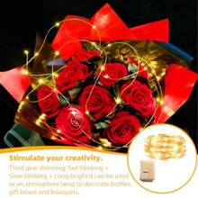 String Lights - مشاهدة 3