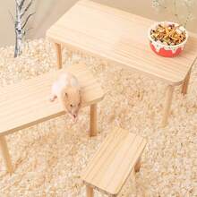 1 pièce/set Maison de cachette pour hamster en bois durable à 2 couches/Échelle d'escalade en vague, Plateforme d'escalade en bois stable et résistante au rongement, Convient pour les petits animaux de compagnie en toutes saisons - Multicolore - Voir 11