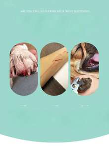 猫咪磨甲器、狗狗指甲修剪器、宠物指甲钳、适合初学者的无痛指甲修剪工具 - 彩色 - 查看 9