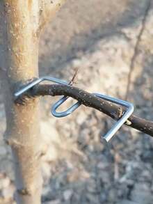 M-Shaped Fruit Tree Branch Bender, Fruit Tree Branch Straightener, Curved Branch Pruner - Multicolor - View 9