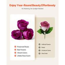 Forever Flowers, 27 Preserved Roses In Heart Shape Box, Eternal Flowers Immortal Bouquet Birthday Present For Women Her Wife Mothers, Anniversary, Valentine's Day,Christmas, Purple - Purple 27 Roses Heart Shape Box - View 4
