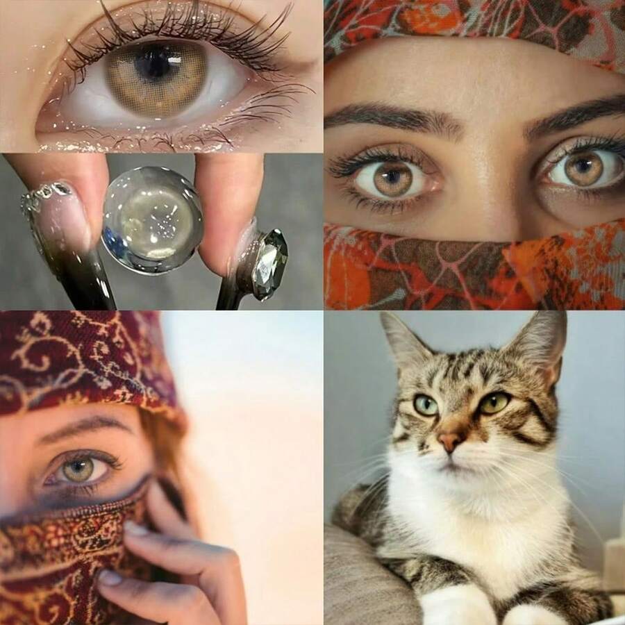 Eye Makeup Accessories, Grey Contact Lens Case Set, Portable Travel Accessories, Suitable For Daily Outdoor Use, Costume Party Role-Playing, Selected Halloween Gifts - màu nâu - Xem 1