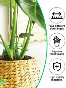 24个/12个/4个装植物茎夹，塑料园艺工具，室内攀援植物茎叶支撑夹，藤蔓支撑夹，帮助攀援植物直立生长，促进植物健康，塑料室内攀援植物支撑架，园艺配件，多种尺寸 - 綠色 - 查看 8