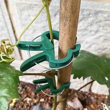 25/70 Peças Clipes de Suporte Reutilizáveis para Plantas Verdes - Material Plástico Durável, Adequado para Jardim e Estufa, Design Ajustável, Não Danifica Tomates, Vinhas, Plantas Trepadeiras - Aplicável para Quintal, Gramado, Exterior, Pode Suportar Vinhas de Tomate, Firmeza de Aperto, Promove o Crescimento de Vegetais - Verde - Visão 7