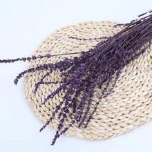 25/50/100/200+ Stems Dried Lavender Flower Bouquet, Fragrant Dried Lavender Bunches Suitable For Shower, Wedding, Home Vase Decor, Crafts, Aromatherapy And Scenting - Multicolor - View 18