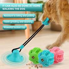 宠物训练玩具，带强力吸盘的狗狗磨牙牵引绳，宠物磨牙玩具，吸盘式宠物训练玩具。适合小型和中型犬打发无聊时间。（建议在光滑瓷砖上使用，不建议在木地板上使用。）