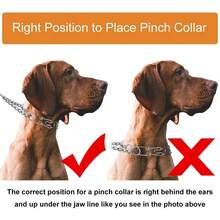 Pet Supplies Rubber Tips Adjustable Detachable Prong Choke Collar Large Dog Training Stimulating Dog Training Chain Effective Detachable Pinch Collar Rubber With Pet Dog Adjustable Collar Steel Training Choke Stainless Prong Comfort Tips Dog Prong Training Collar With Rubber Tips Pit Bull German Shepherd Metal Pinch Collar Pet Supplies - Multicolor - View 9
