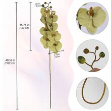 IPOPU - Flores artificiales de orquidea blanca de 40 pulgadas 5 piezas de orquideas falsas de tallo largo ramas de phalaenopsis orquideas de seda de tacto real para jarron para despedida de soltera - Verde - Ver 2