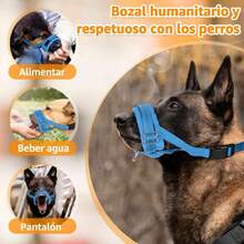 Pet Muzzles - Clear - View 2