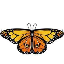 这款蝴蝶披肩色彩鲜艳，佩戴时宛如翩翩起舞的蝴蝶翅膀。适合女士和儿童，是全年各种节日场合的完美之选。采用涤纶面料，易于清洗，可手洗或机洗，品质优良，性价比高！ - 彩色 - 查看 8