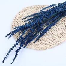 25/50/100/200+ Stems Dried Lavender Flower Bouquet, Fragrant Dried Lavender Bunches Suitable For Shower, Wedding, Home Vase Decor, Crafts, Aromatherapy And Scenting - Multicolor - View 14