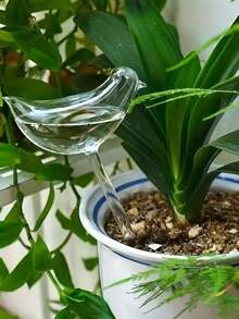 10 piezas Dispositivos de auto-riego con forma de pájaro - Sistema automático de riego para plantas de interior/exterior, con rosca para riego por goteo, sin necesidad de batería, material de plástico, adecuado como regalo; adecuado como regalo de Año Nuevo; adecuado como regalo del Día de San Valentín; adecuado para viajes cortos; puede regar las plantas por adelantado. - Multicolor - Ver 6