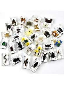 50+ Pcs Large (7.3cm) Transparent Resin Insect Stag Beetle, Spider, Scorpion, Rhinoceros Beetle, Hornet, Wasp Model, Spider Octagon Monster Creative Bookend Decor, Primitive Forest Giant Arthropod Centipede Model, Magical Nature Real Rare Various Insects, High Transparency Permanent Preserved Transparent Resin Natural Insect Creative Small Decor, Gift - Multicolor - View 14