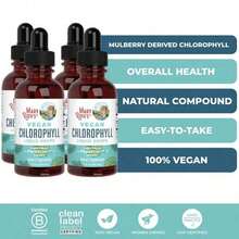 Mary Ruth's Vegan Chlorophyll Liquid Drops - Non-Diluted Liquid Chlorophyll - Mulberry Derived Supplement - Non-GMO - Delicious Minty Flavor - 2 Fl Oz - 4瓶 - 查看 1