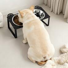 Iron Elevated Cat Bowls,15°Tilted Stand Anti Vomiting Raised Cat Dishes For Food And Water,2 Stainless Steel Bowls For Cats And Puppy - 1L - View 3